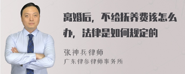 离婚后，不给抚养费该怎么办，法律是如何规定的