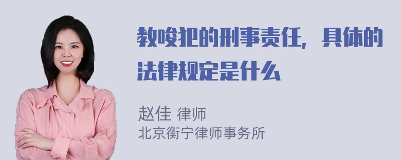 教唆犯的刑事责任，具体的法律规定是什么