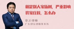 就是别人家扬树，严重影响我家庄稼，怎么办