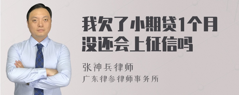 我欠了小期贷1个月没还会上征信吗