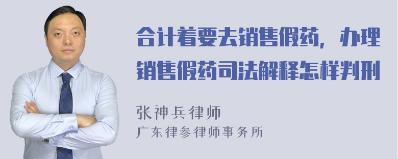 合计着要去销售假药，办理销售假药司法解释怎样判刑