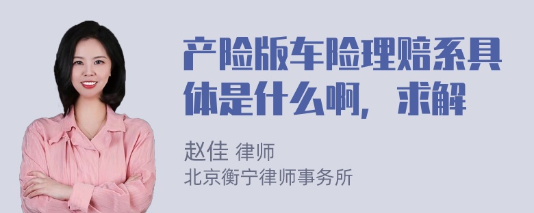 产险版车险理赔系具体是什么啊，求解