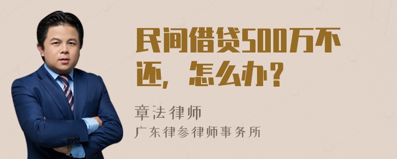 民间借贷500万不还，怎么办？