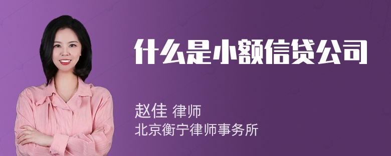 什么是小额信贷公司