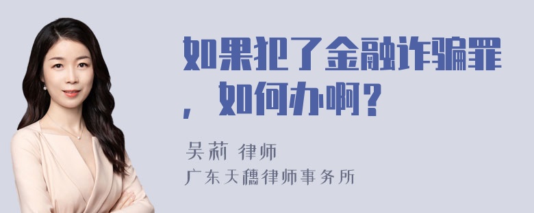 如果犯了金融诈骗罪，如何办啊？