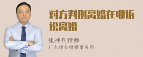 对方判刑离婚在哪诉讼离婚