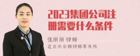 2023集团公司注册需要什么条件