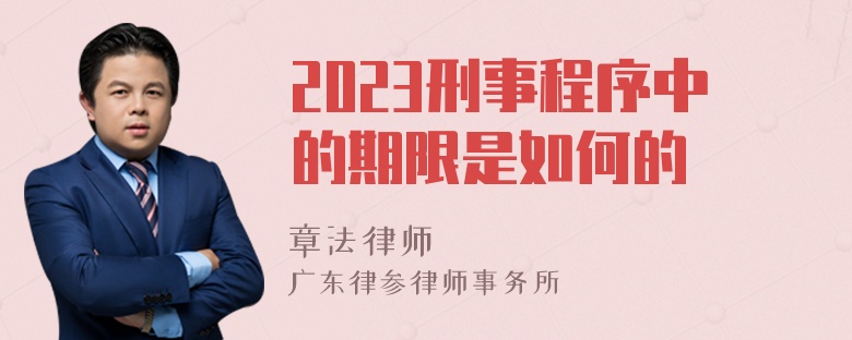 2023刑事程序中的期限是如何的