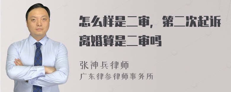 怎么样是二审，第二次起诉离婚算是二审吗