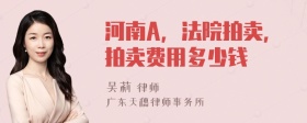 河南A，法院拍卖，拍卖费用多少钱