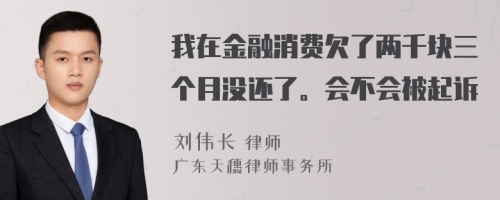 我在金融消费欠了两千块三个月没还了。会不会被起诉