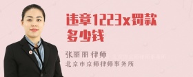 违章1223x罚款多少钱