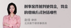 刑事案件被判处罚金，罚金的缴纳方式包括哪些