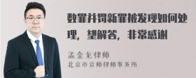 数罪并罚新罪被发现如何处理，望解答，非常感谢