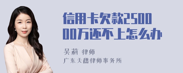 信用卡欠款250000万还不上怎么办