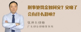 刑事处罚金如何交？交晚了会有什么影响？