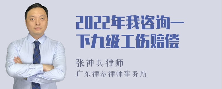 2022年我咨询一下九级工伤赔偿