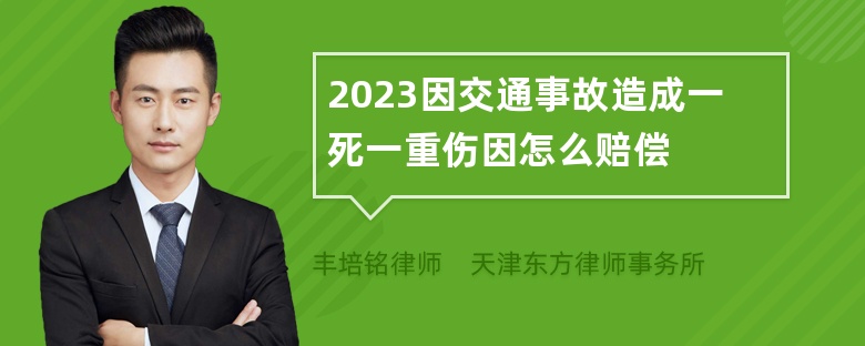 2023因交通事故造成一死一重伤因怎么赔偿