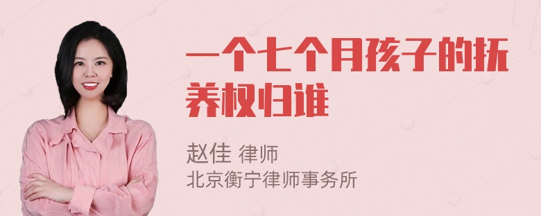 一个七个月孩子的抚养权归谁