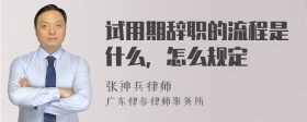 试用期辞职的流程是什么，怎么规定