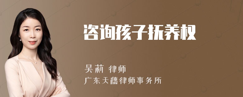 咨询孩子抚养权