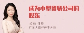 成为小型贸易公司的股东