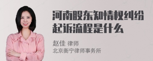 河南股东知情权纠纷起诉流程是什么