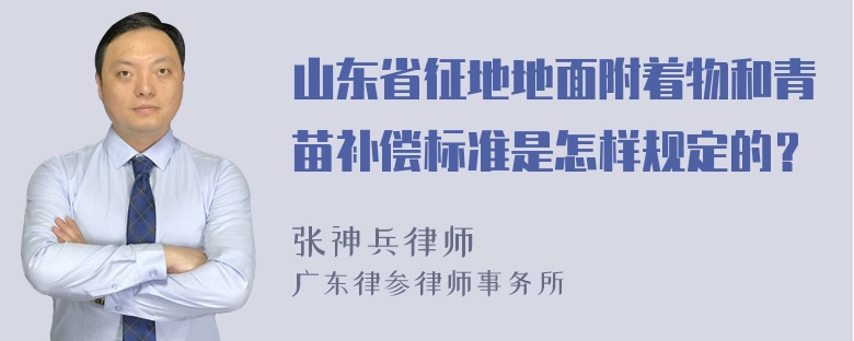 山东省征地地面附着物和青苗补偿标准是怎样规定的？