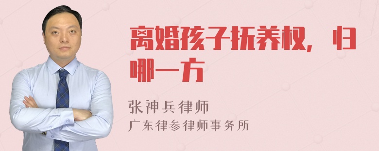 离婚孩子抚养权，归哪一方