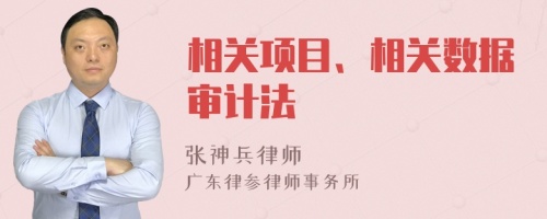 相关项目、相关数据审计法