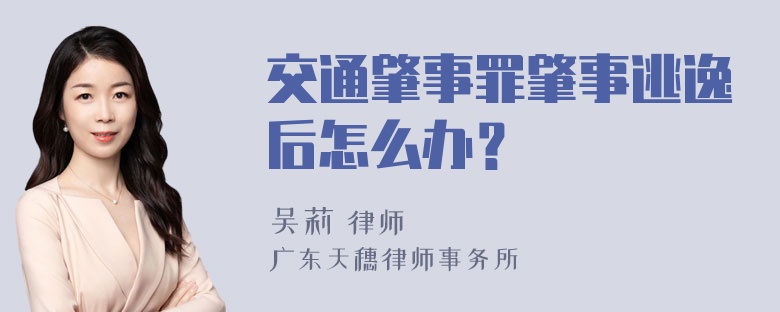 交通肇事罪肇事逃逸后怎么办？