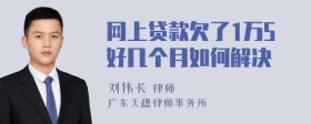 网上贷款欠了1万5好几个月如何解决