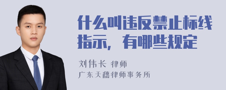 什么叫违反禁止标线指示，有哪些规定