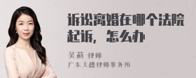 诉讼离婚在哪个法院起诉，怎么办