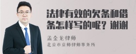 法律有效的欠条和借条怎样写的呢？谢谢