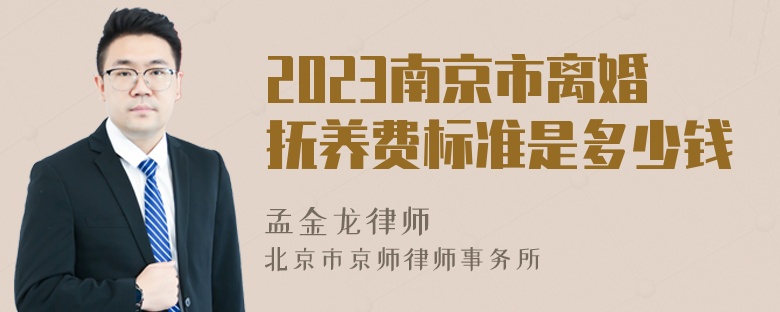 2023南京市离婚抚养费标准是多少钱