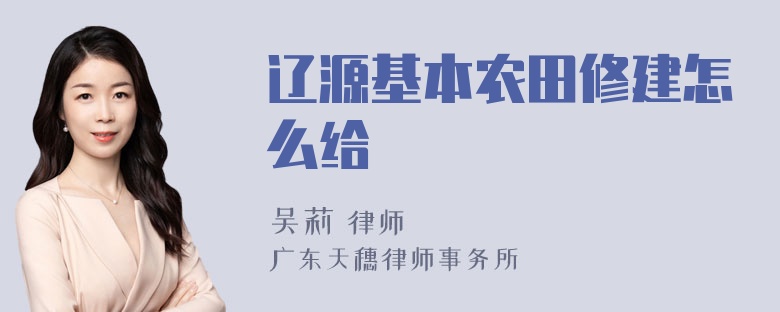 辽源基本农田修建怎么给