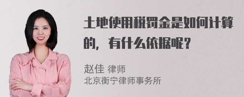 土地使用税罚金是如何计算的，有什么依据呢？