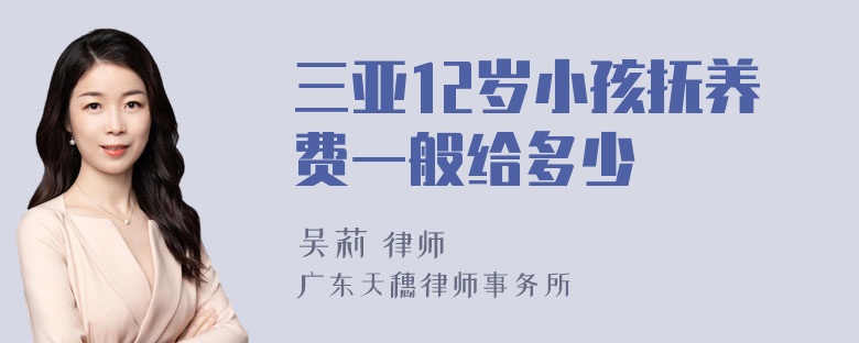 三亚12岁小孩抚养费一般给多少