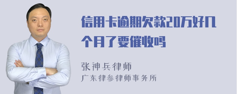 信用卡逾期欠款20万好几个月了要催收吗