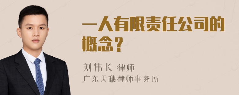 一人有限责任公司的概念？