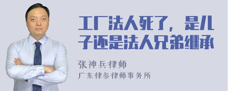 工厂法人死了，是儿子还是法人兄弟继承