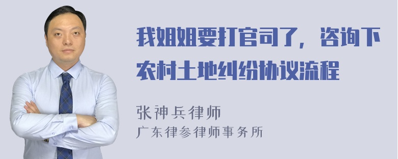 我姐姐要打官司了，咨询下农村土地纠纷协议流程