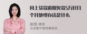 网上贷款逾期欠款5万好几个月处理办法是什么