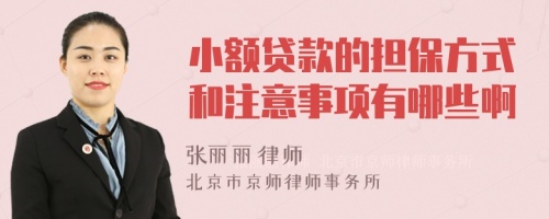 小额贷款的担保方式和注意事项有哪些啊
