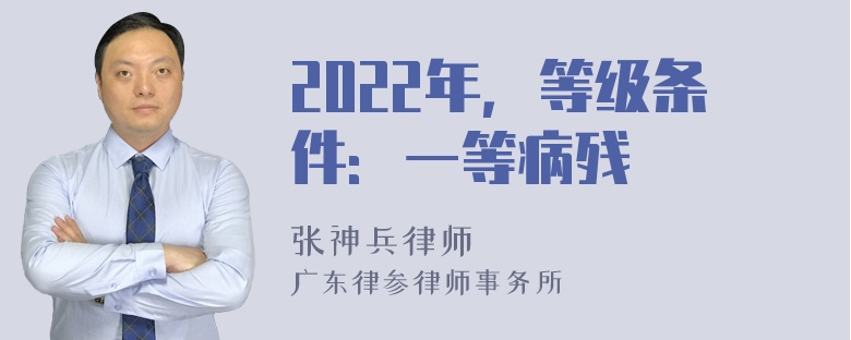 2022年，等级条件：一等病残