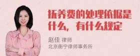 抚养费的处理依据是什么，有什么规定