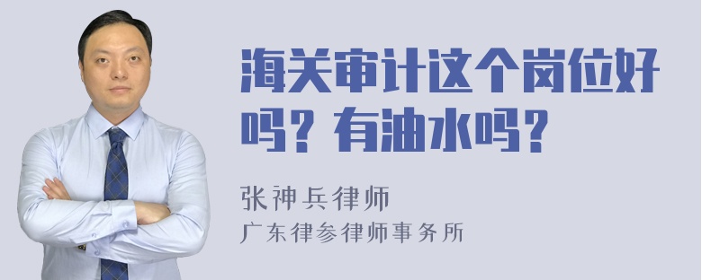 海关审计这个岗位好吗？有油水吗？