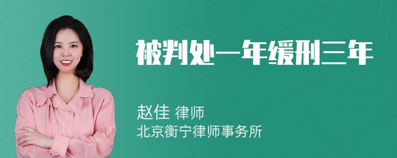 被判处一年缓刑三年