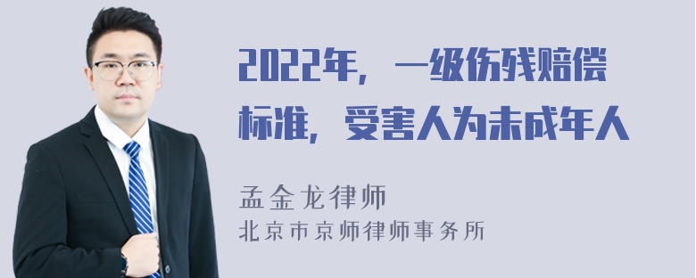 2022年，一级伤残赔偿标准，受害人为未成年人